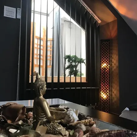 Savoya Nr3 Old Center Self Check-in Apartament Timişoara