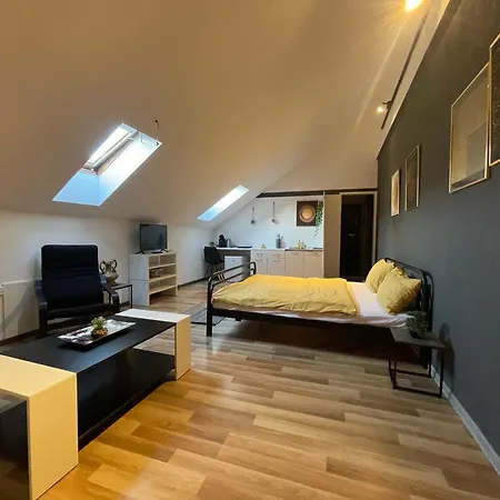 Savoya Nr3 Old Center Self Check-in Timişoara