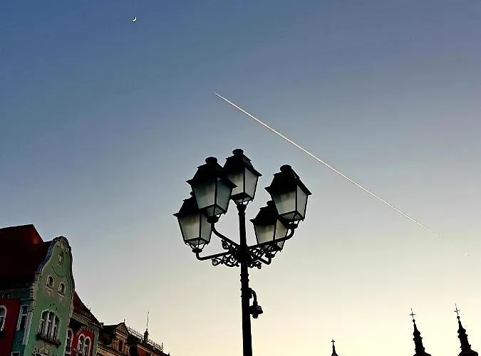 Savoya Nr3 Old Center Self Check-in * טימישוארה