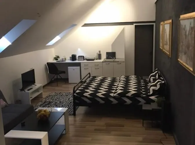 Apartament Savoya Nr3 Old Center Self Check-in Timişoara