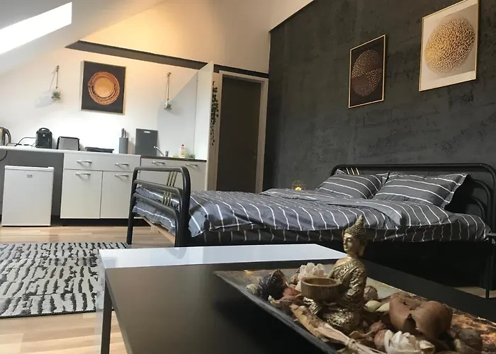 Apartament Savoya Nr3 Old Center Self Check-in