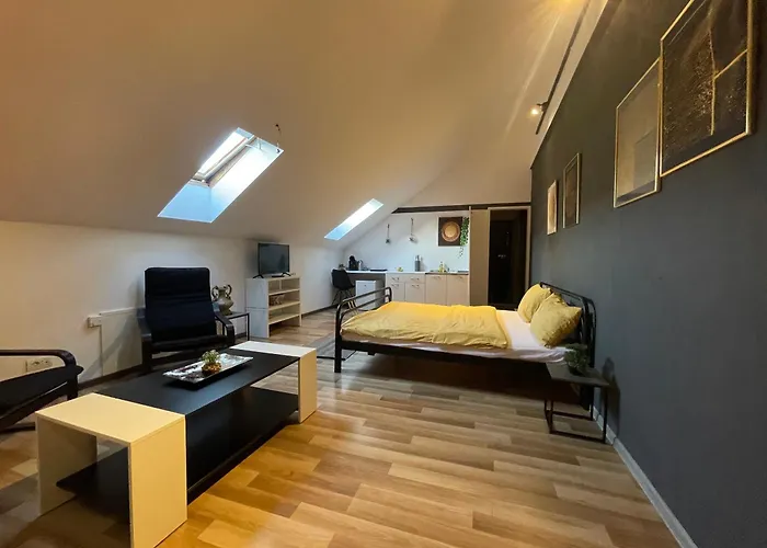 Savoya Nr3 Old Center Self Check-in Timişoara