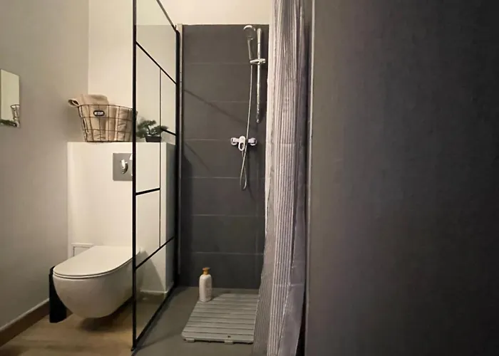 Savoya Nr3 Old Center Self Check-in Apartament