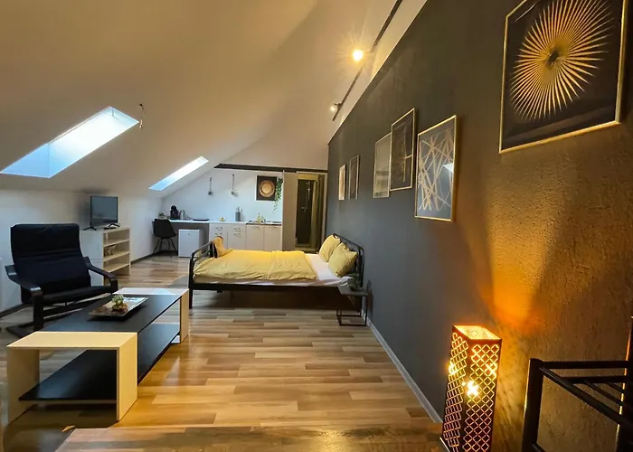 Savoya Nr3 Old Center Self Check-in Apartament *