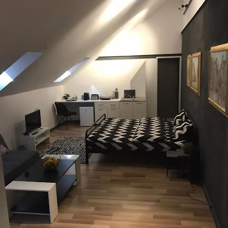 Апартаменты Savoya Nr3 Old Center Self Check-in Тимишоара