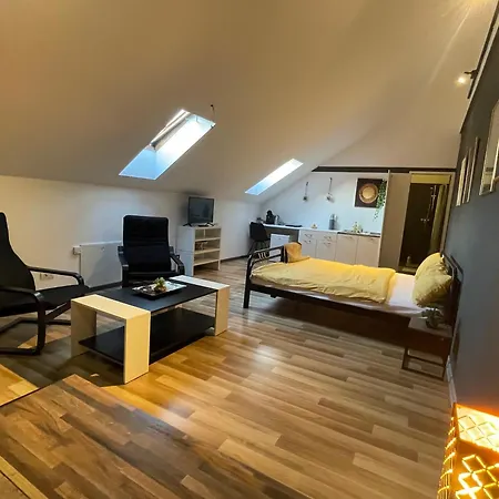 Apartment Savoya Nr3 Old Center Self Check-in Timişoara